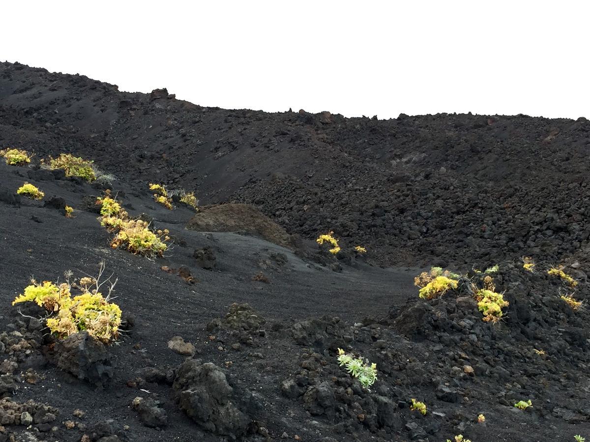 Апартаменты Beach La Palma Тасакорте Экстерьер фото